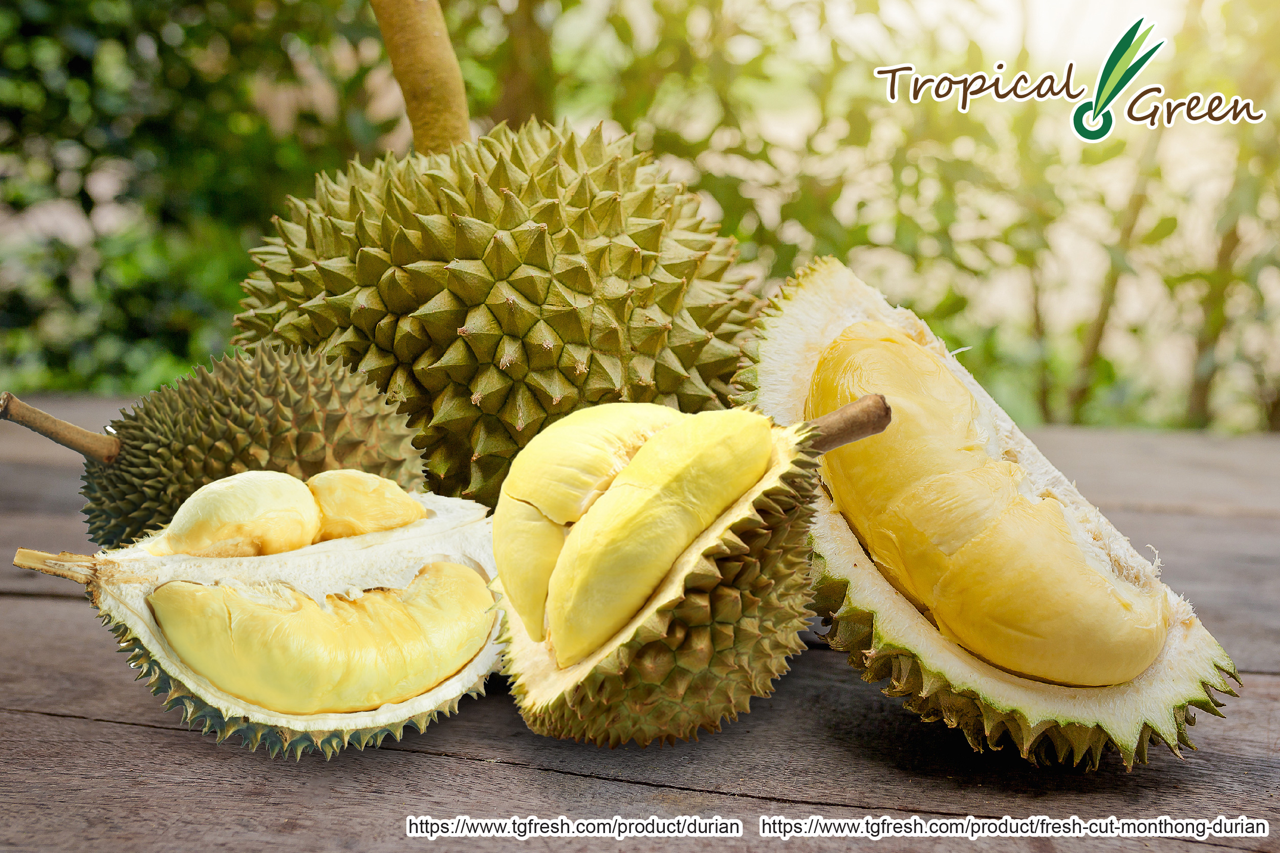 Thailand is home to the sweetest, creamiest, and rarest species of durians thanks to the sweltering climate and fertile soil enriched with vitamins. In fact, Thailand is one of the biggest exporters of durian! Take a glimpse and you might forever be against the durian ban!