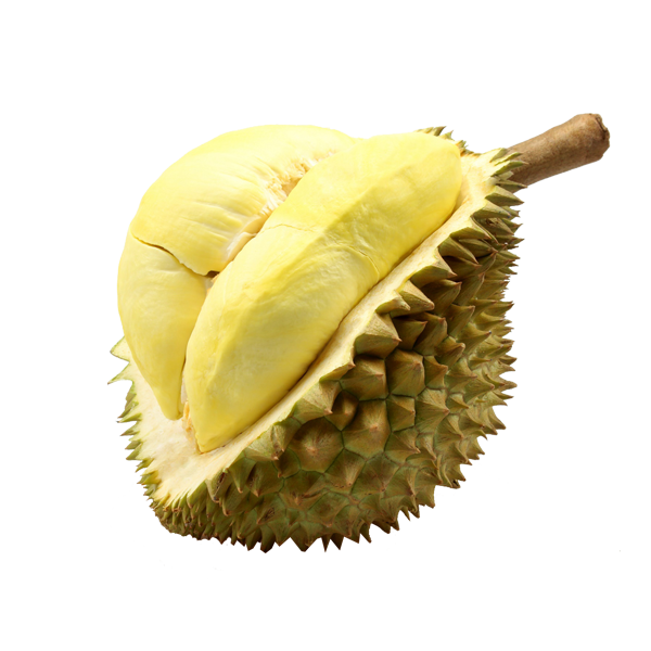 Durian King of Fruit Fantastic Inside Hard Spiky Shell Tropical