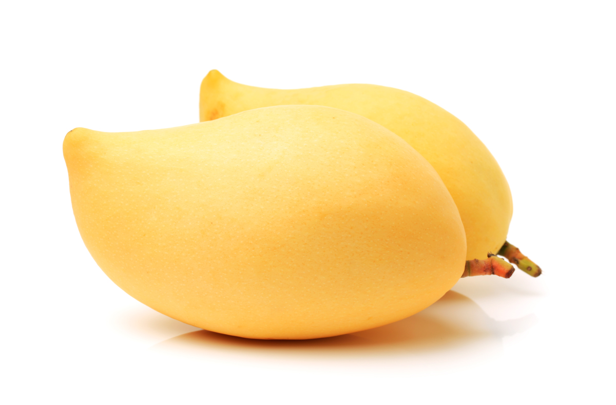 Thai Fresh Mango Exporter Manufacturer and Supplier