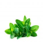 胡椒薄荷