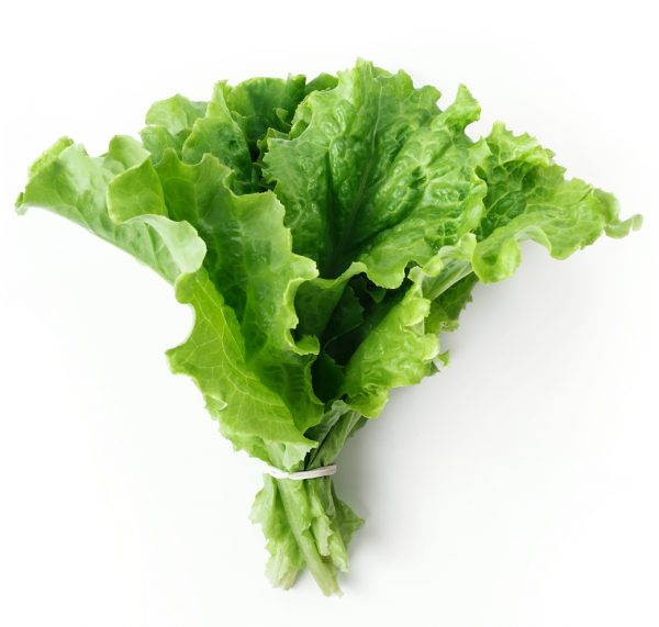 Salad / Flowers Tropical Green