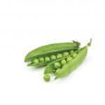 Garden Pea