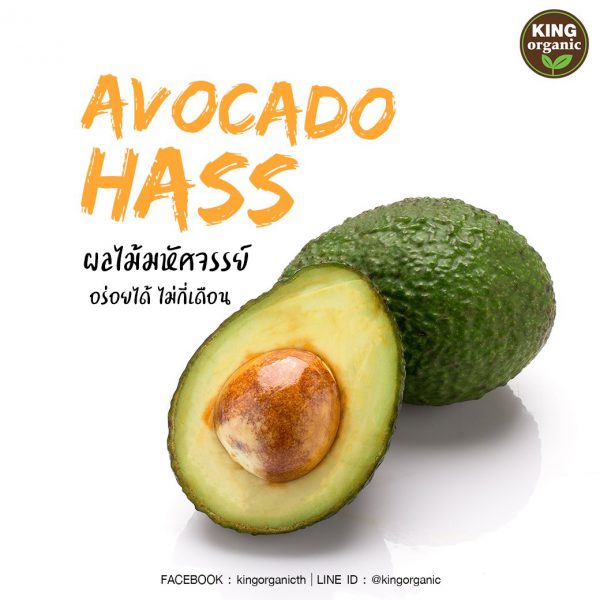 AVOCADO HASS Tropical Green